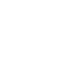 Hoselmann Consulting Logo